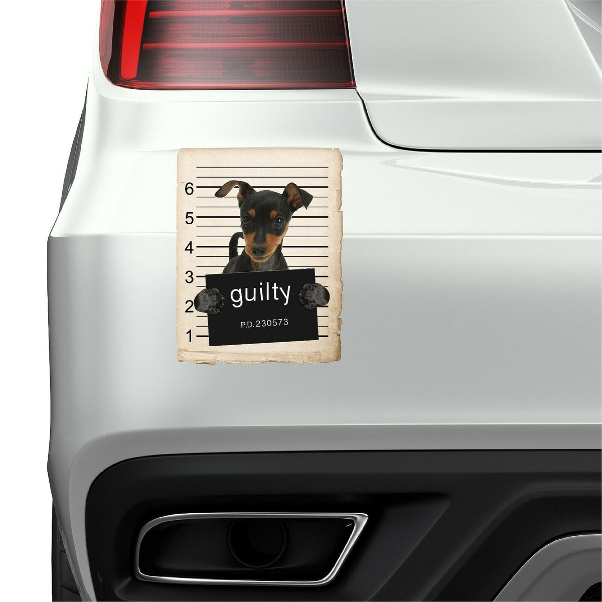 Miniature Pincher Mugshot Bad Dog Fridge refrigerator Car Magnet