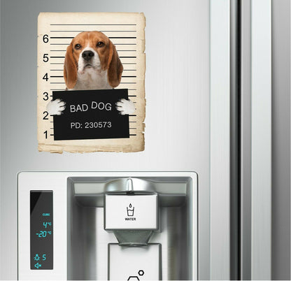 Beagle Mugshot Bad Dog Fridge refrigerator Car Magnet Bumper Sticker