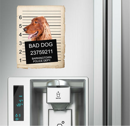 Irish Setter Mugshot Bad Dog Fridge refrigerator Car Magnet