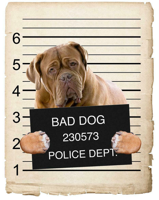 Bull Mastiff Mugshot Bad Dog Fridge refrigerator Car Magnet