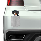 Whippet Dog in pocket Fridge Car Magnet Bumper Sticker App size 4"x7"