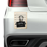 Saluki Mugshot Bad Dog Fridge refrigerator Car Magnet