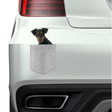 German Pinscher Dog in pocket Fridge Car Magnet Bumper Sticker App size 4"x7"