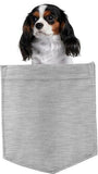 Cavalier King Charles in pocket Fridge Car Magnet Bumper Sticker App size 4"x7"