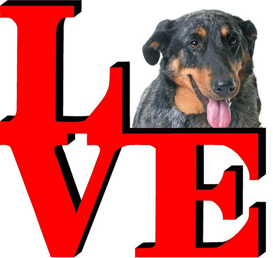 Beauceron Love Park Cute Dog Fridge Refrigerator Car Magnet