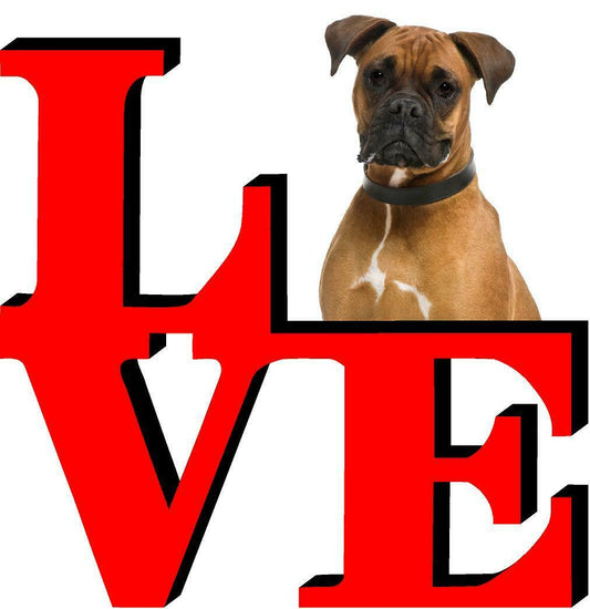 Boxer Dog Love Park Cute Dog Fridge Refrigerator Car Magnet