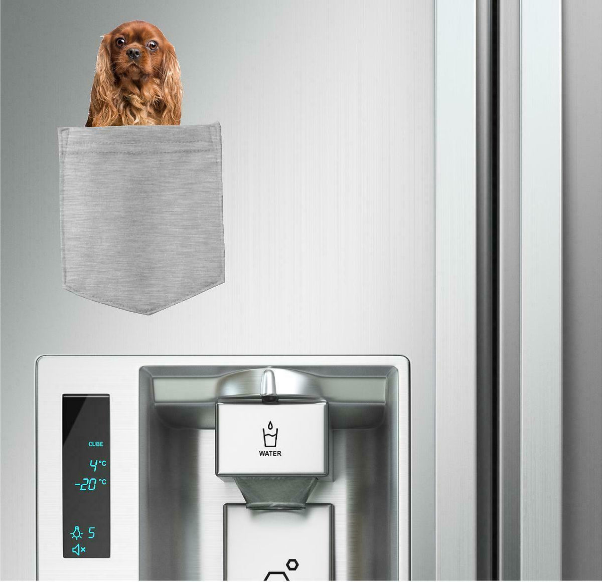 Cavalier King Charles in pocket Fridge Car Magnet Bumper Sticker App size 4"x7"
