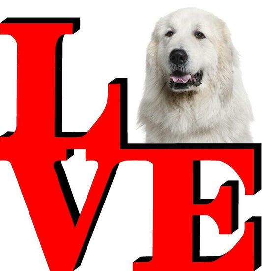 Great Pyrenees Dog Love Park Dog Fridge Refrigerator Car Magnet