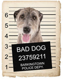 Great Pyrenees Mugshot Bad Dog Fridge refrigerator Car Magnet