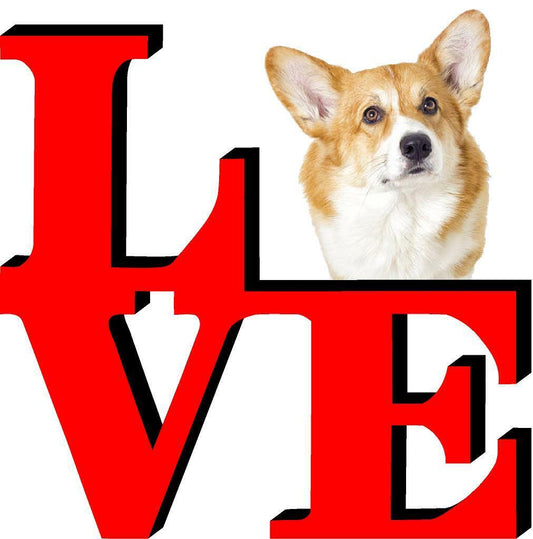 Corgi Dog Love Park Dog Fridge Refrigerator Car Magnet