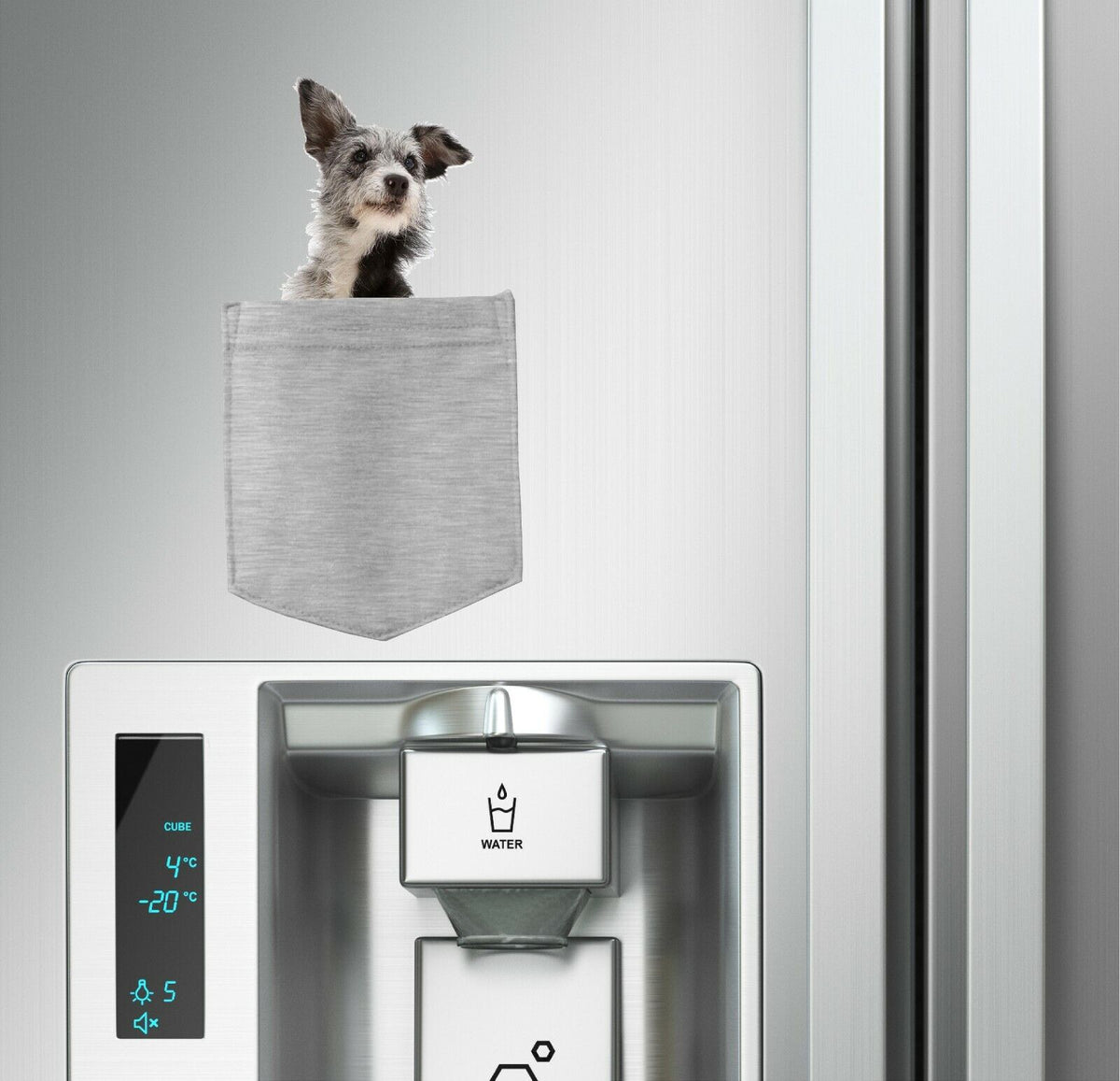 Australian Cattle Dog in pocket Fridge Car Magnet Bumper Sticker App size 4"x7"