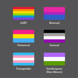 Set of 6 magnetic bumper stickers magnet LGBTQA pride flags Bisexual Pansexual