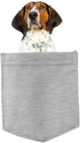 Treeing Walker Coonhound pocket Fridge Car Magnet Bumper Sticker App size 4"x7"