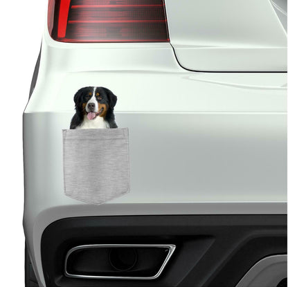 Bernese Mountain Dog in pocket Fridge Car Magnet Bumper Sticker App size 4"x7"