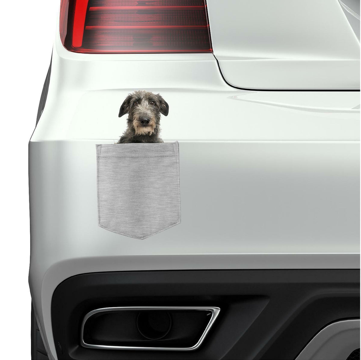 Scottish Deerhound Dog in pocket Fridge Car Magnet Bumper Sticker App size 4"x7"