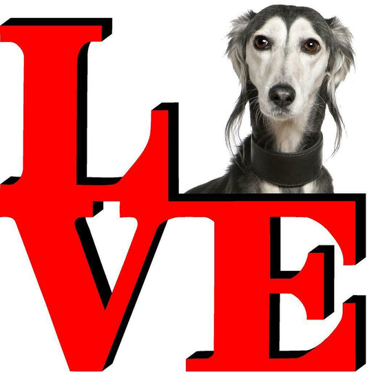 Saluki Cute Dog Fridge Refrigerator Car Magnet