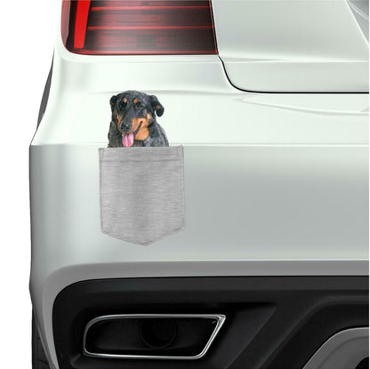 Beauceron Dog in pocket Fridge Car Magnet Bumper Sticker App size 4"x7"