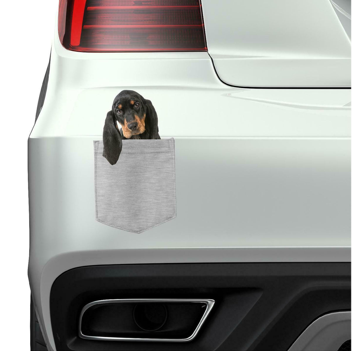Black & Tan Coonhound in pocket Fridge Car Magnet Bumper Sticker App size 4"x7"