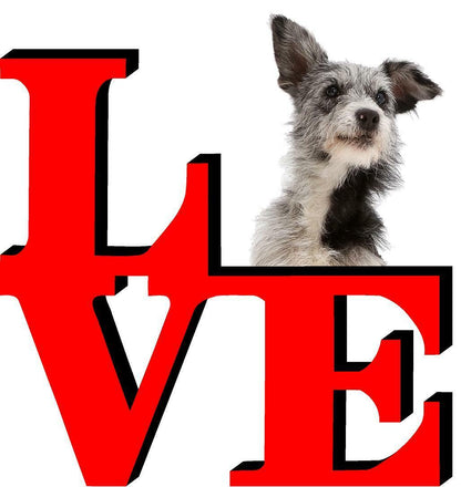 Australian Cattle Doq Love Park Cute Dog Fridge Refrigerator Car Magnet