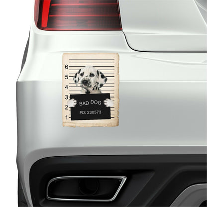 Dalmatian Mugshot Bad Dog Fridge refrigerator Car Magnet