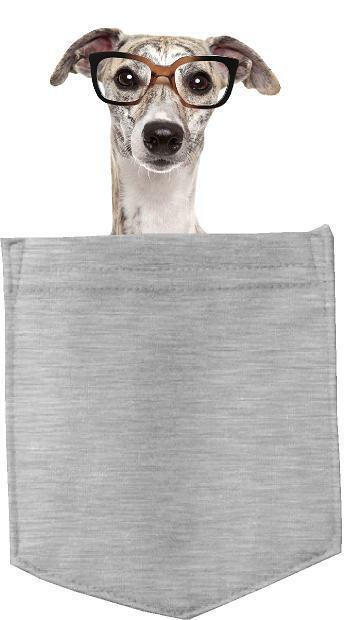 Greyhound with Glasses pocket Fridge Car Magnet Bumper Sticker App size 4"x7"