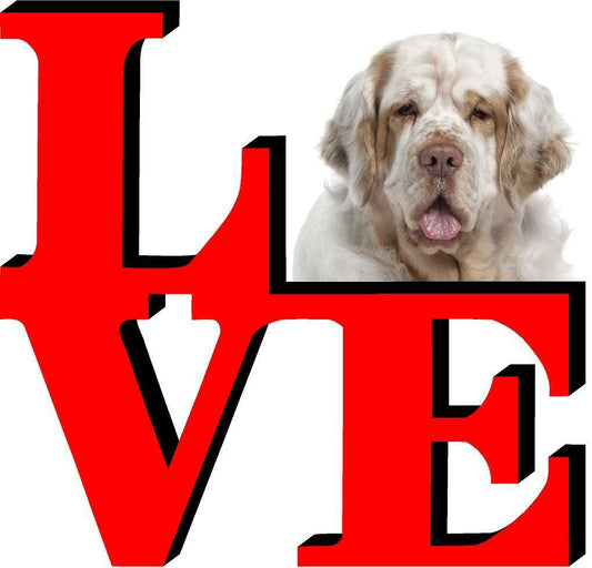 Clumber Spaniel Dog Love Park Dog Fridge Refrigerator Car Magnet