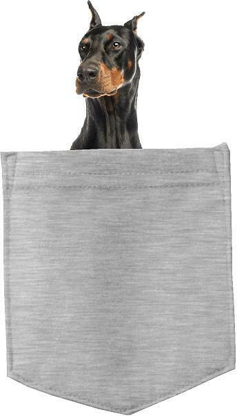 Doberman Pinscher Dog in pocket Fridge Car Magnet Bumper Sticker App size 4"x7"
