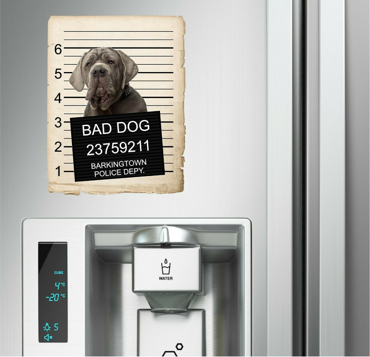 Neapolitan Mastiff Mugshot Bad Dog Fridge refrigerator Car Magnet