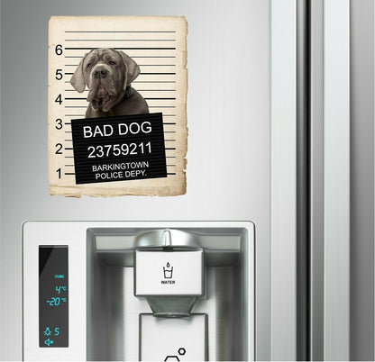 Neapolitan Mastiff Mugshot Bad Dog Fridge refrigerator Car Magnet