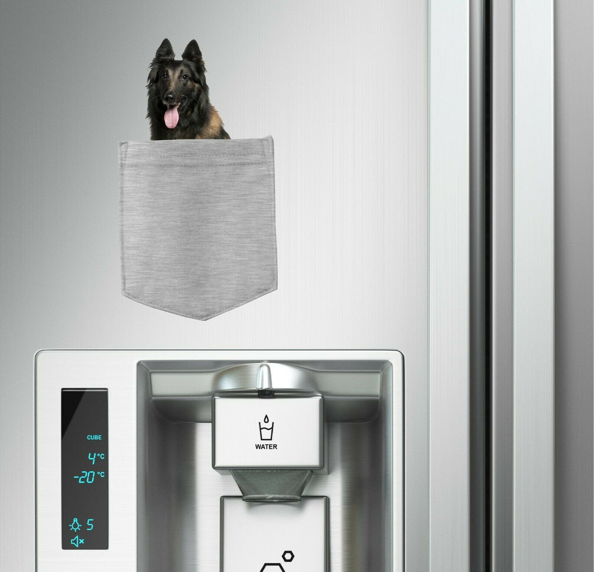 Belgian Tervuren Dog in pocket Fridge Car Magnet Bumper Sticker App size 4"x7"
