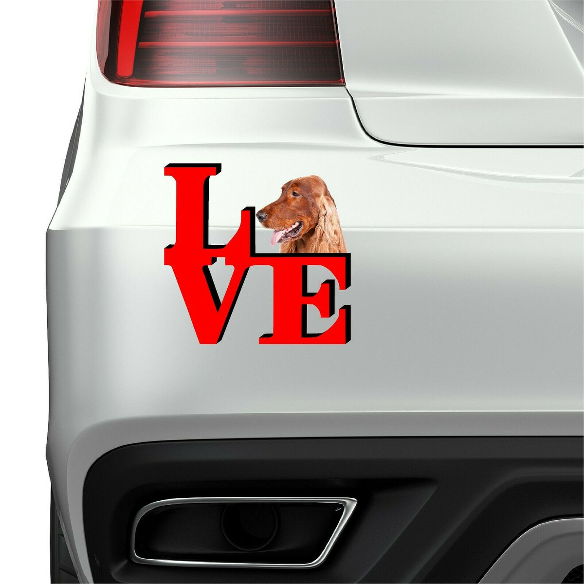 Irish Setter Dog Love Park Dog Fridge Refrigerator Car Magnet
