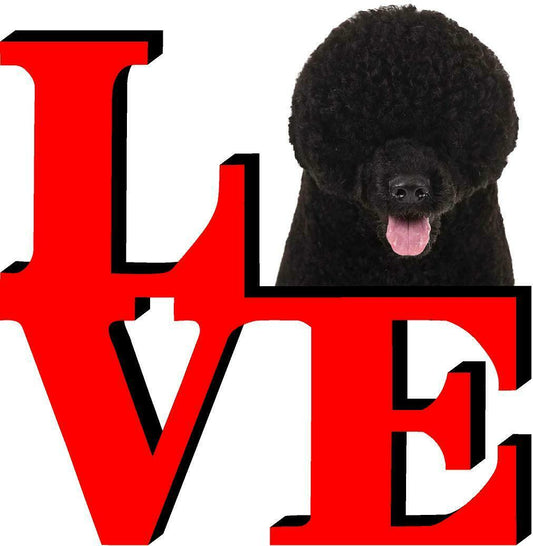 Portuguese Water Dog Park Cute Dog Fridge Refrigerator Car Magnet