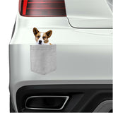 Cardigan Welsh Corgi in pocket Fridge Car Magnet Bumper Sticker App size 4"x7"
