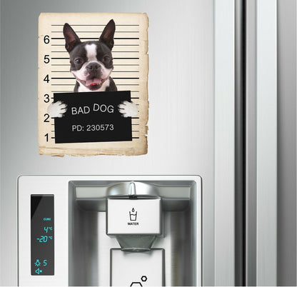 Boston Terrier Mugshot Bad Dog Fridge refrigerator Car Magnet