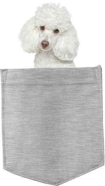 Poodle Dog in pocket Fridge Car Magnet Bumper Sticker App size 4"x7"