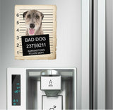 Great Pyrenees Mugshot Bad Dog Fridge refrigerator Car Magnet