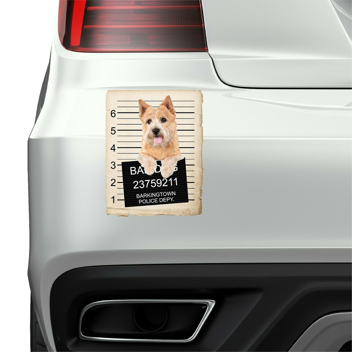 Norwich Terrier Mugshot Bad Dog Fridge refrigerator Car Magnet