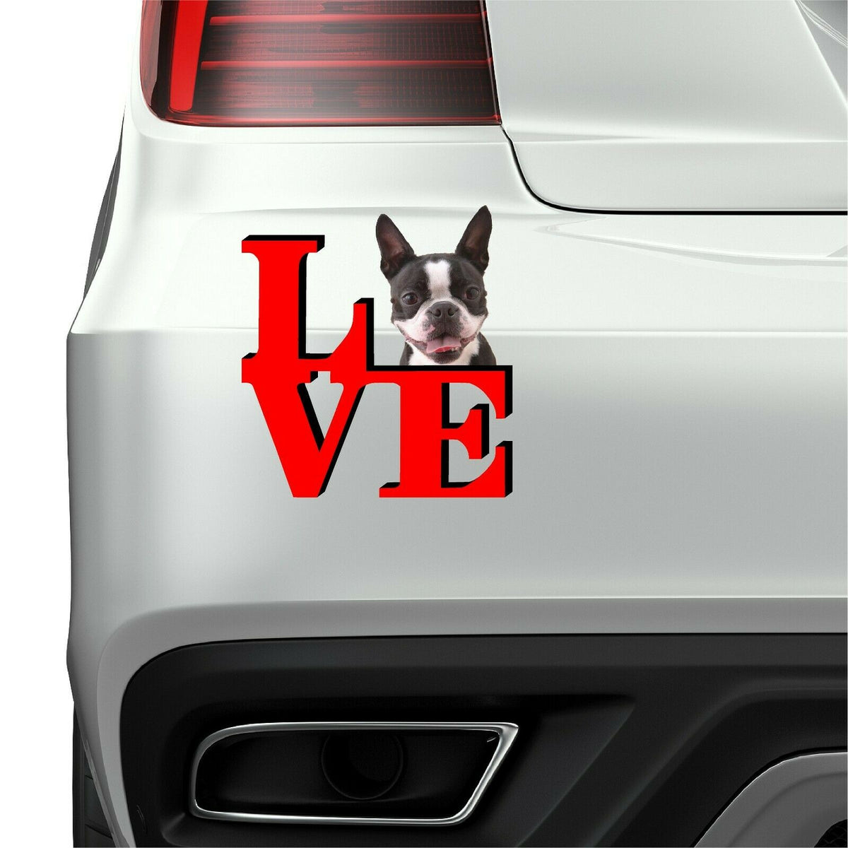 Boston Terrier Dog Love Park Cute Dog Fridge Refrigerator Car Magnet