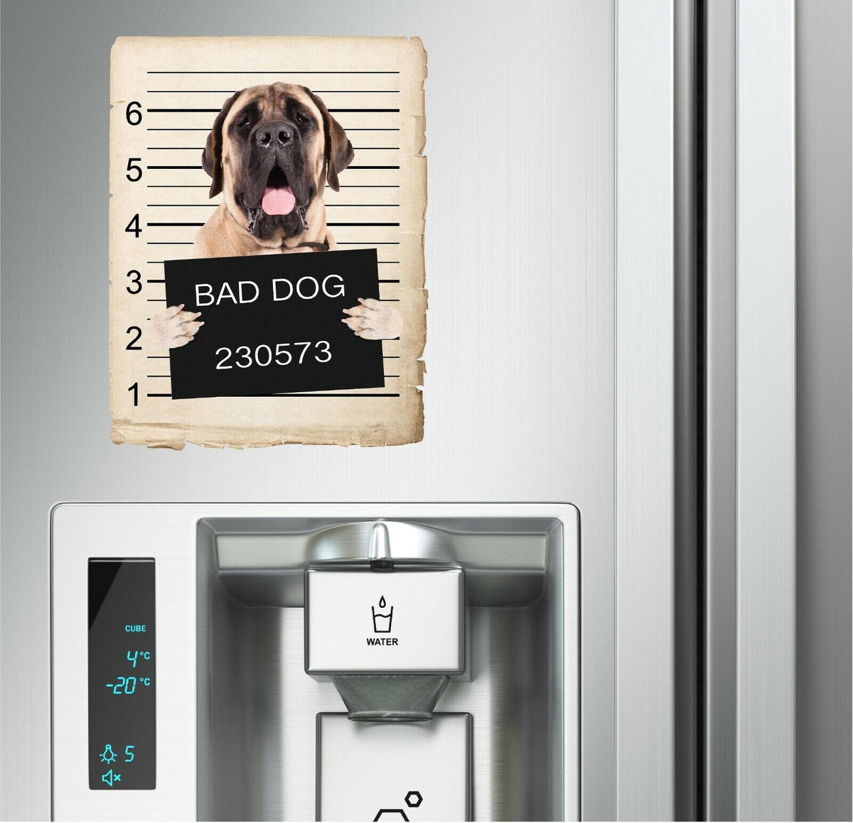 Mastiff Mugshot Bad Dog Fridge refrigerator Car Magnet