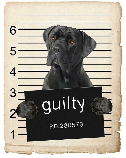 Cane Corso Mugshot Bad Dog Fridge refrigerator Car Magnet