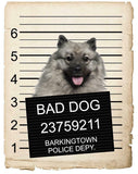 Keeshonden  Mugshot Bad Dog Fridge refrigerator Car Magnet