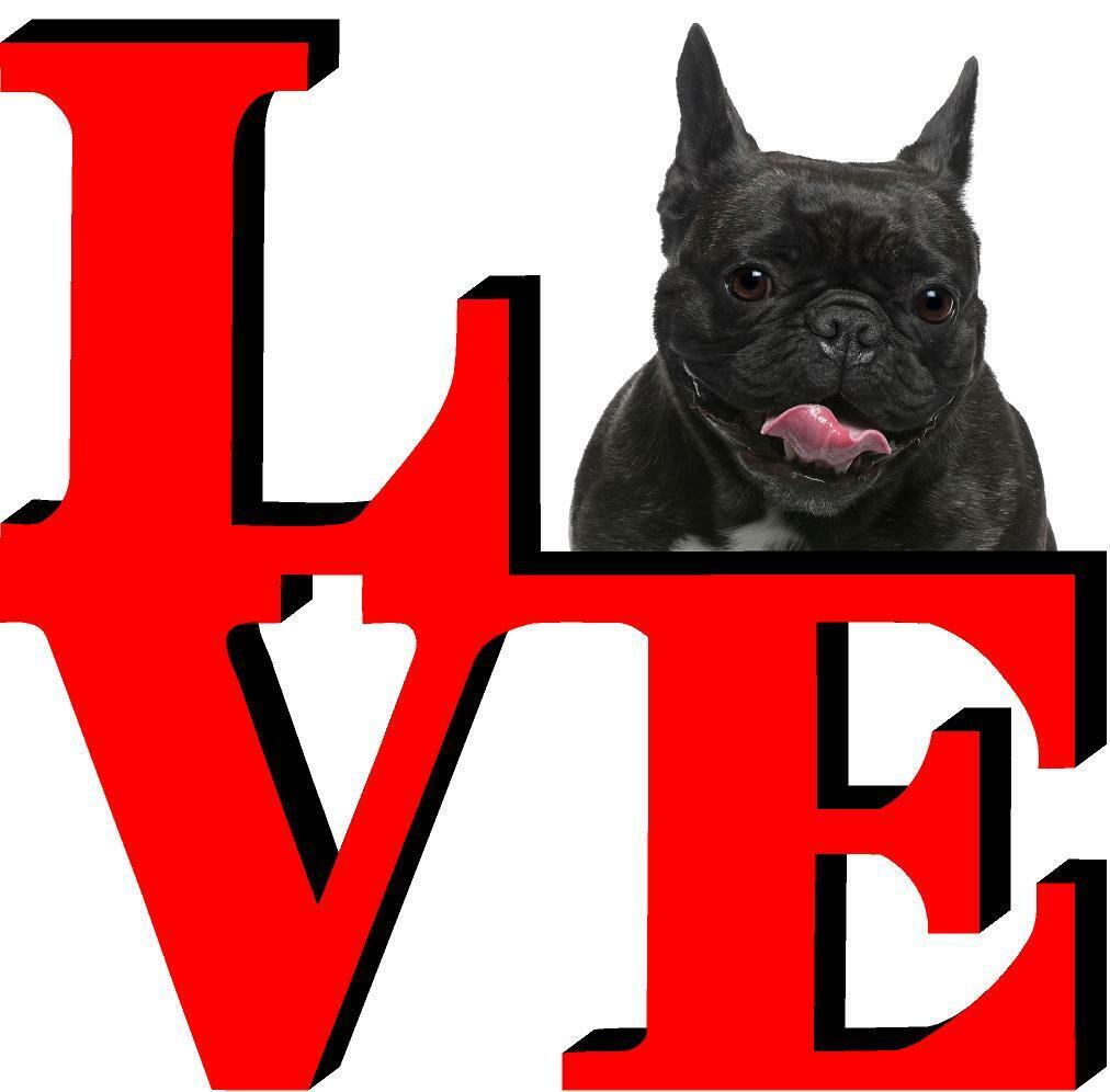 French Bulldog Dog Love Park Dog Fridge Refrigerator Car Magnet