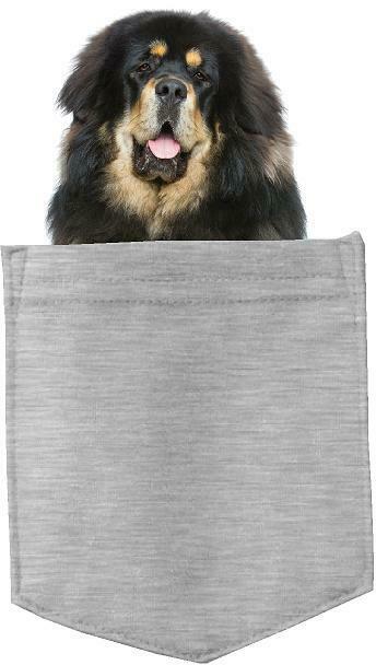 Tibetan Mastiff Dog in pocket Fridge Car Magnet Bumper Sticker App size 4"x7"