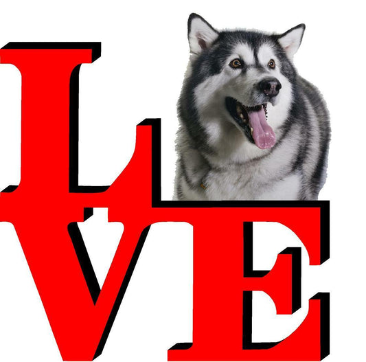 Alaskan Malamute Love Park Cute Dog Fridge Refrigerator Car Magnet