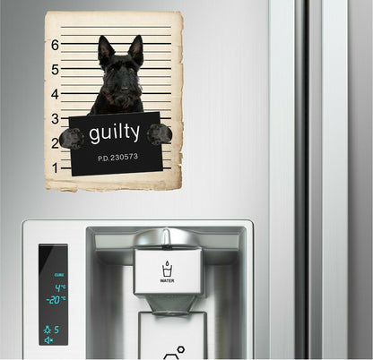 Scottish Terrier  Mugshot Bad Dog Fridge refrigerator Car Magnet
