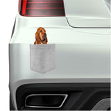 Bloodhound in pocket Fridge Car Magnet Bumper Sticker App size 4"x7"