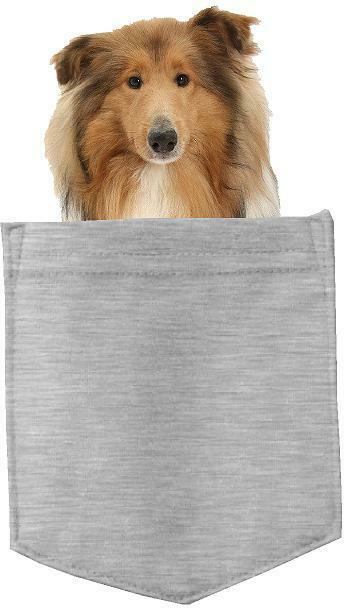 Collie Dog in pocket Fridge Car Magnet Bumper Sticker App size 4"x7"