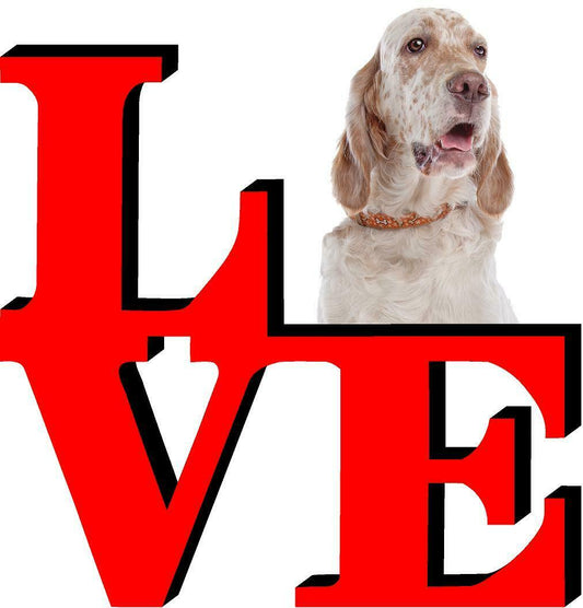 English Setter  Dog Love Park Dog Fridge Refrigerator Car Magnet