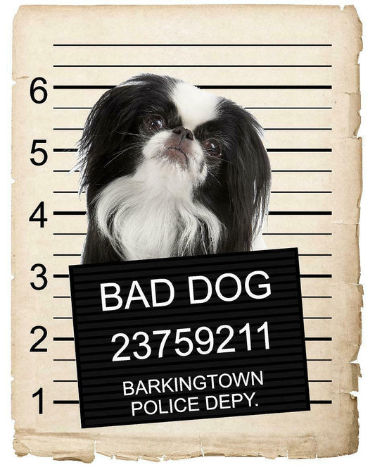 Japanese Chin Mugshot Bad Dog Fridge refrigerator Car Magnet
