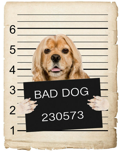 American Cocker Spaniel Mugshot Bad Dog Fridge refrigerator Car Magnet